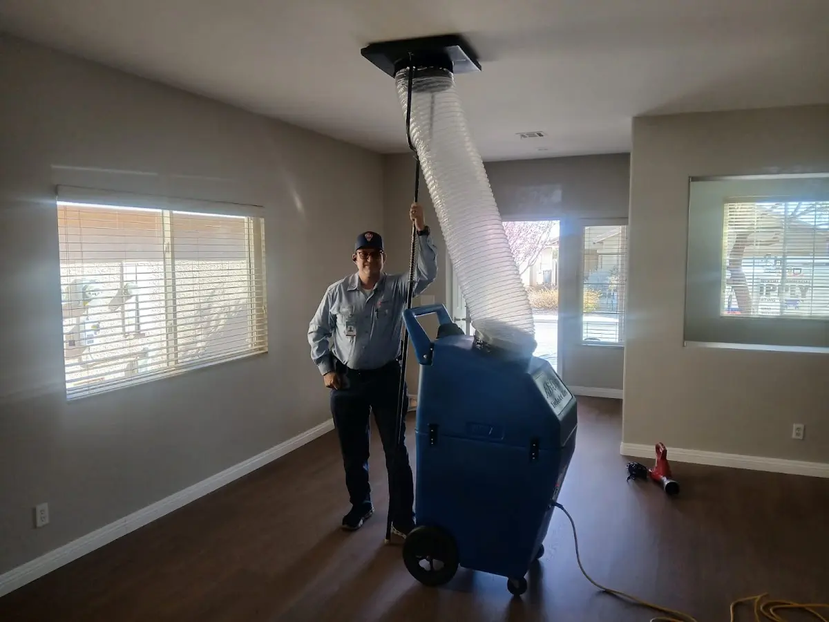 Professional Dryer Vent Cleaning work inside a Berwyn home